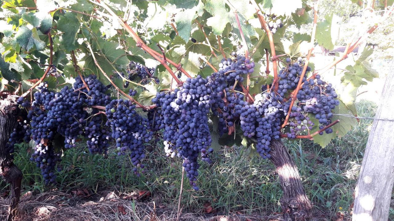Le Clos D'Almide Monestier  Ngoại thất bức ảnh