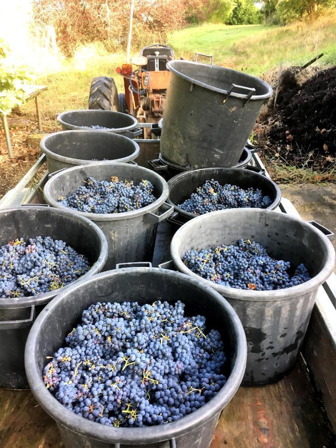 Le Clos D'Almide Monestier  Ngoại thất bức ảnh